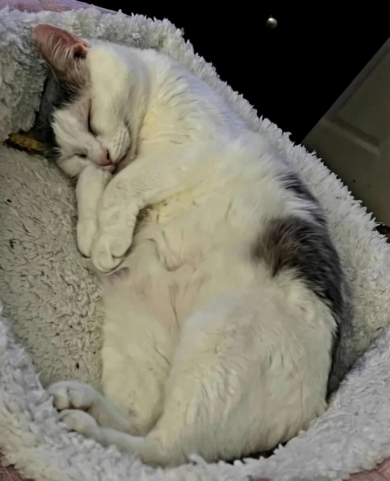 Ethel thumbnail 2