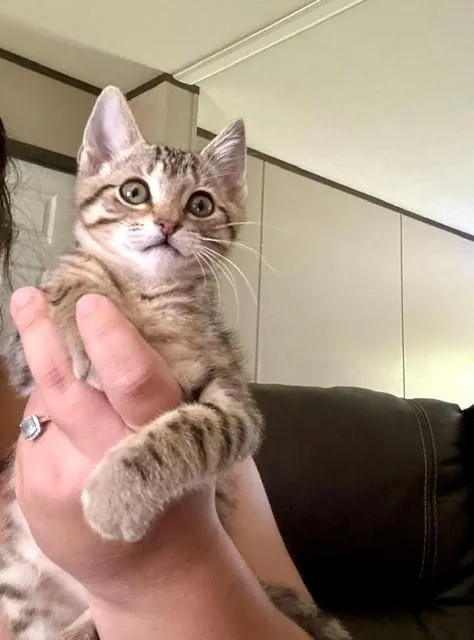 Gracie thumbnail 4