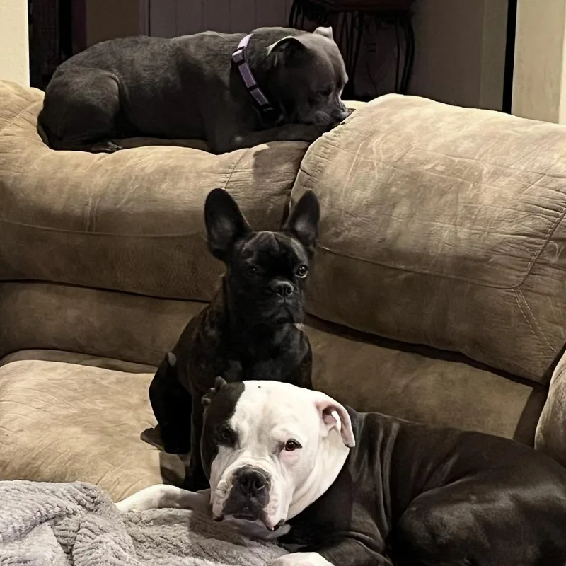 Sweet Pea thumbnail 2