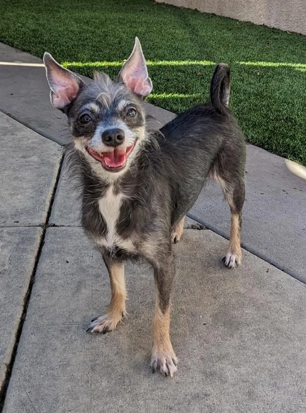 Sor Juana thumbnail 2