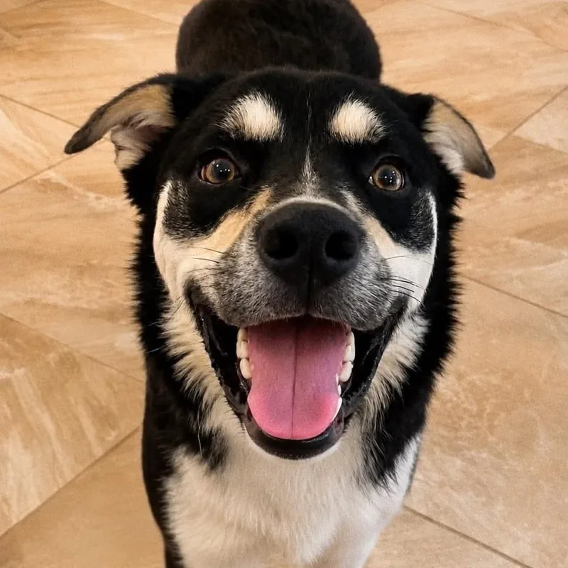 Jax
