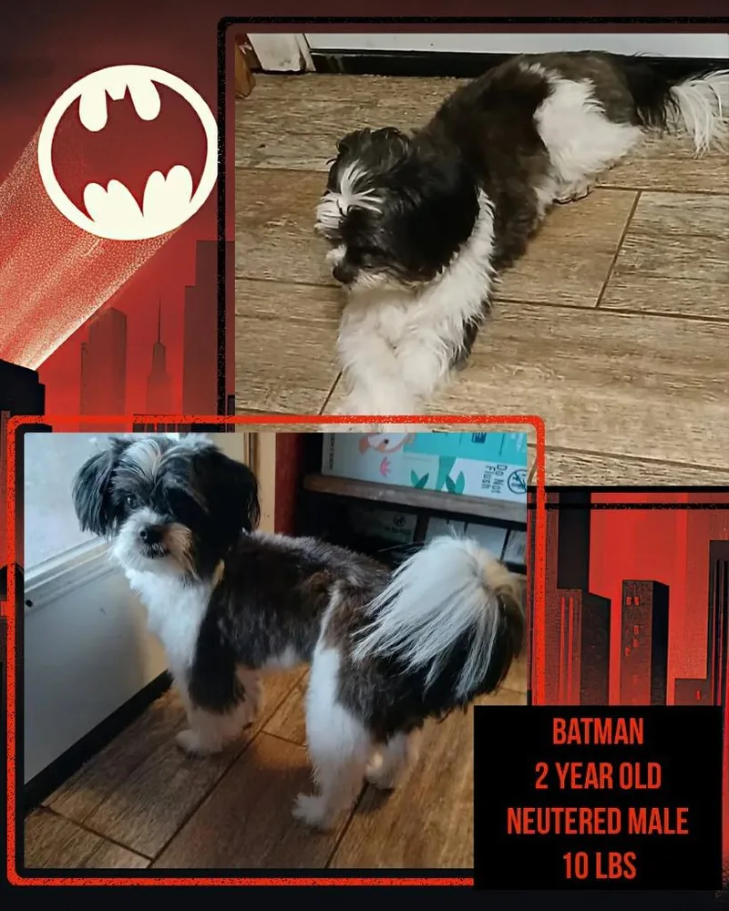 Batman $