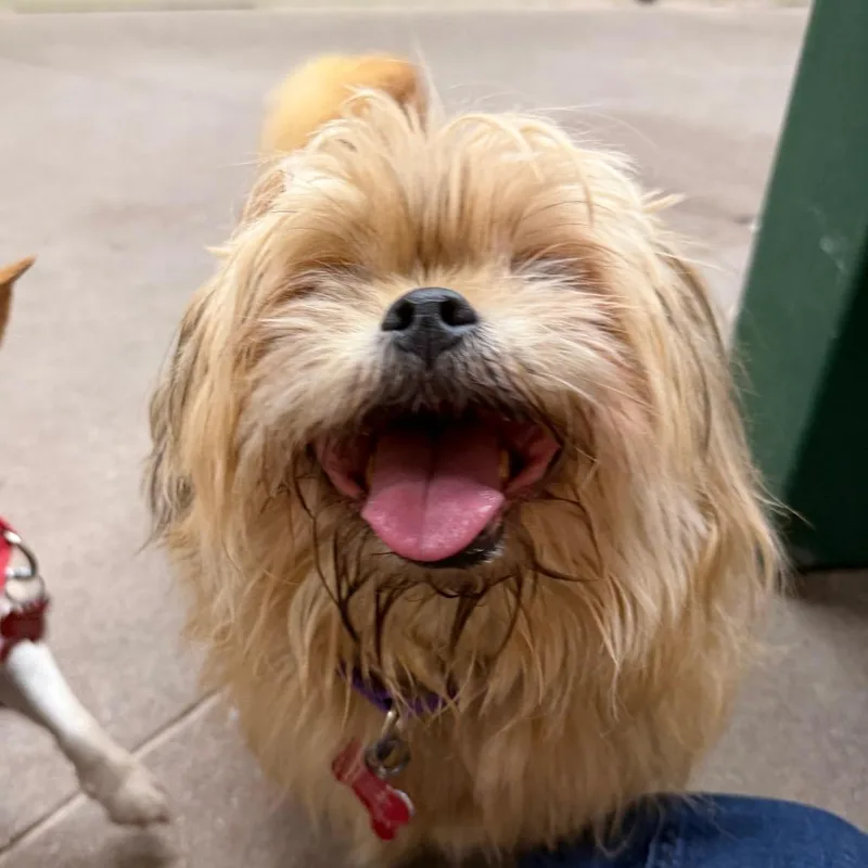 Granny thumbnail 6