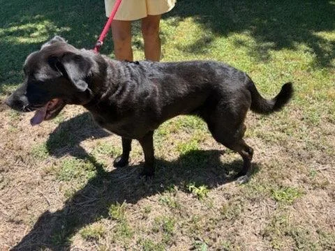 Zeus