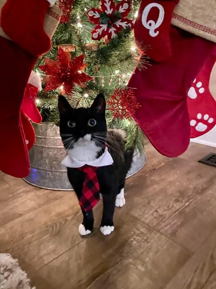 Timber & Ukie thumbnail 2