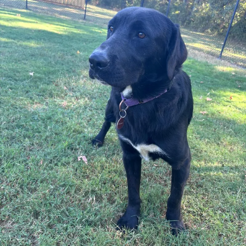 Burt thumbnail 2