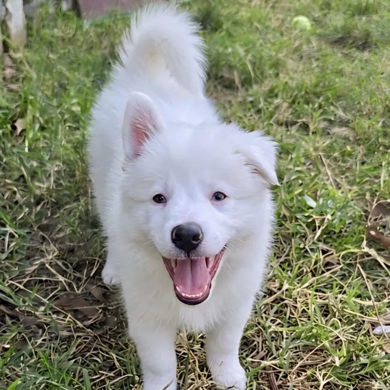 Lucy