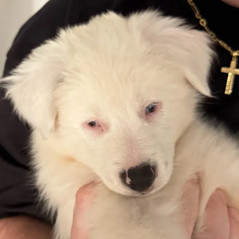 Lucy thumbnail 2