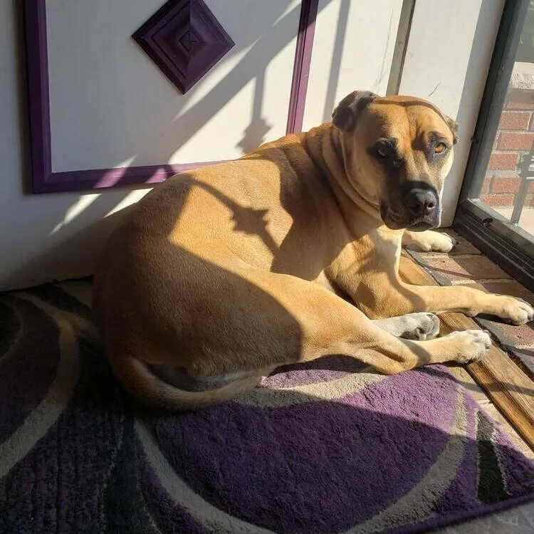 Sabrina Brandy thumbnail 4