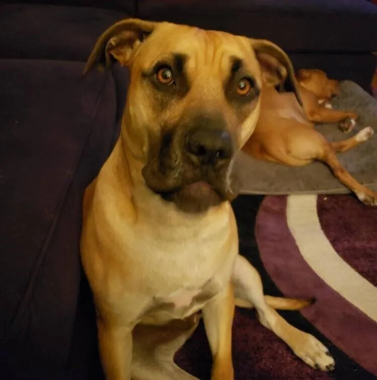 Sabrina Brandy thumbnail 6