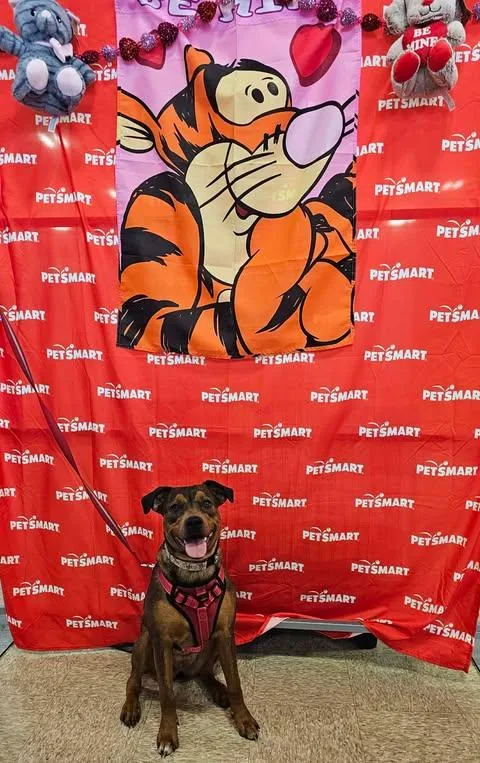 Sable Mae thumbnail 2