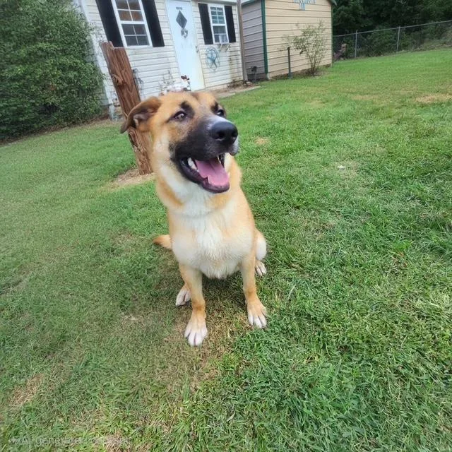 Ryker thumbnail 3