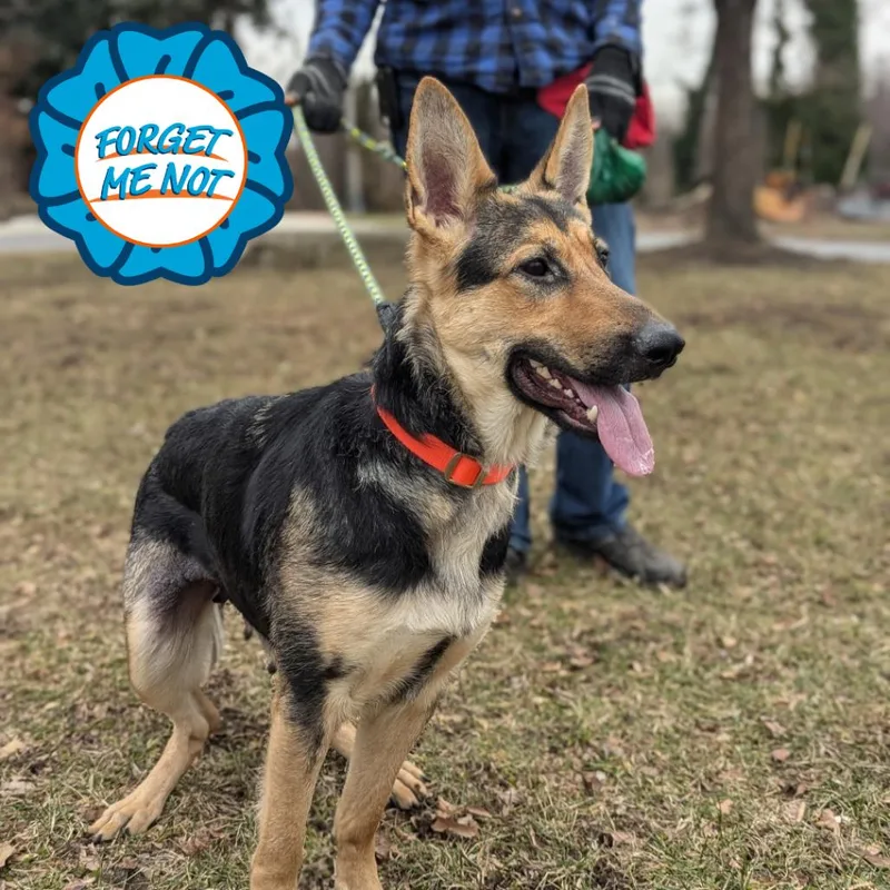 Lunar Landing thumbnail 2