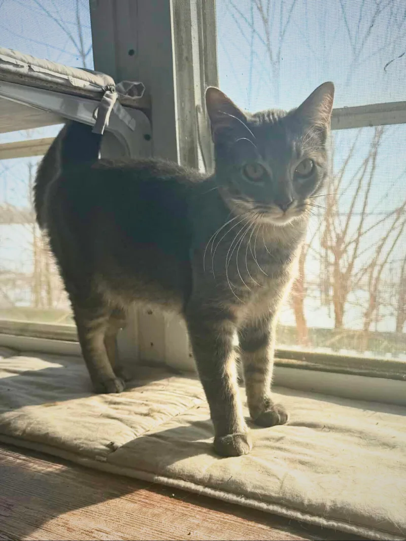 Benji | Young |