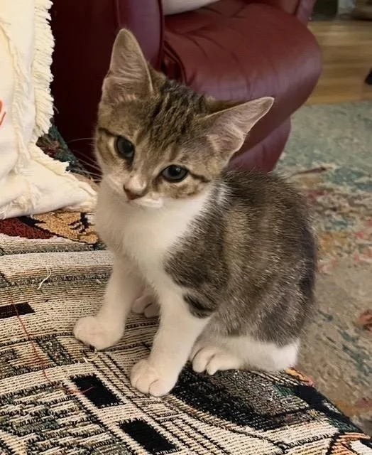 Goodness thumbnail 2