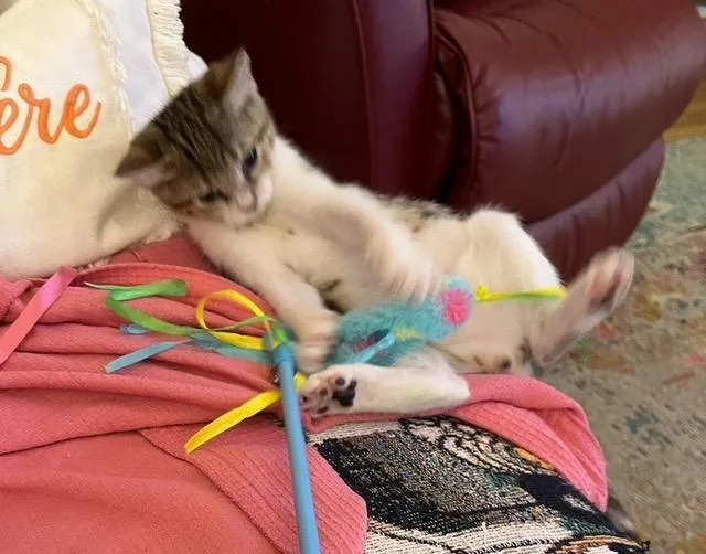 Goodness thumbnail 3