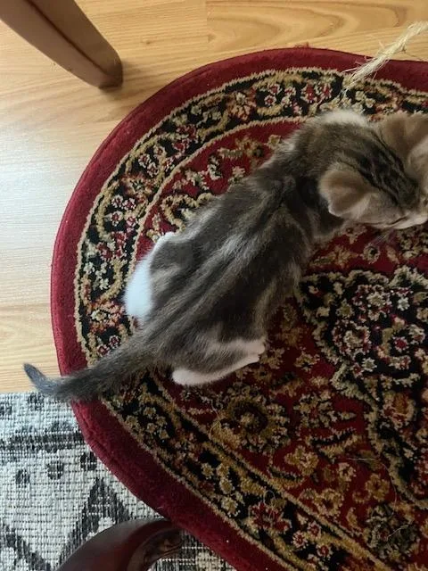 Goodness thumbnail 4