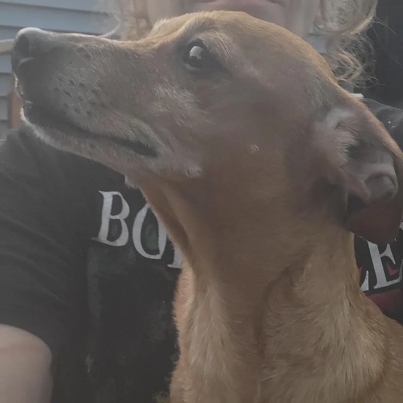 Benny thumbnail 2