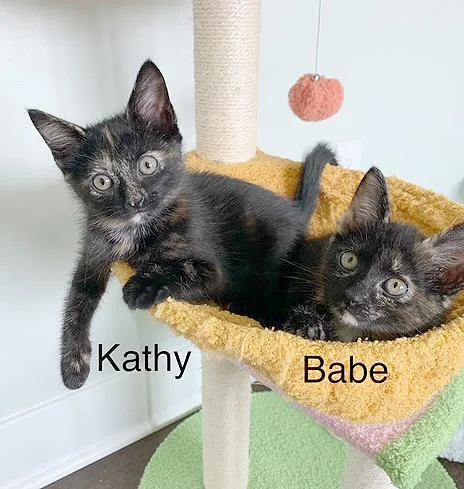 Kathy thumbnail 2