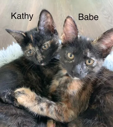Kathy thumbnail 6
