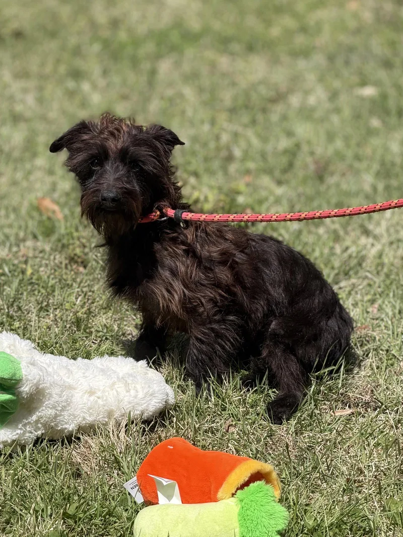 Billyray thumbnail 2