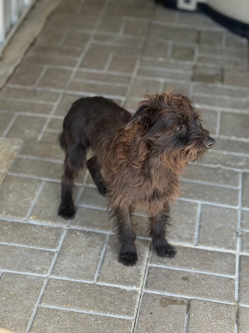 Billyray thumbnail 3