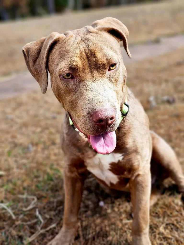 Lanny  Local thumbnail 2