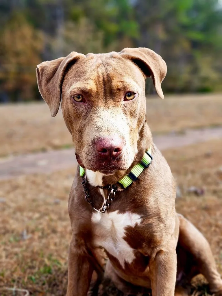 Lanny  Local thumbnail 3