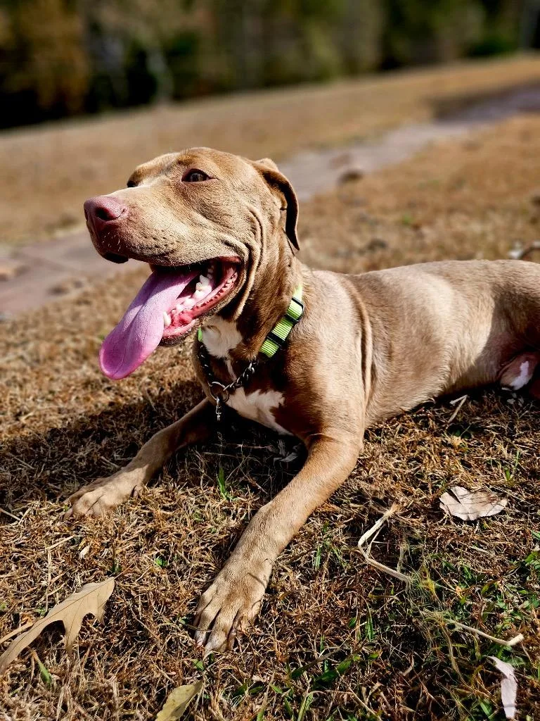 Lanny  Local thumbnail 5