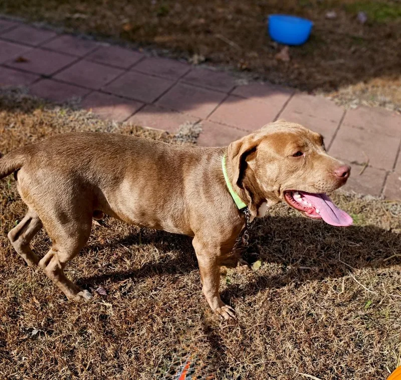 Lanny  Local thumbnail 6