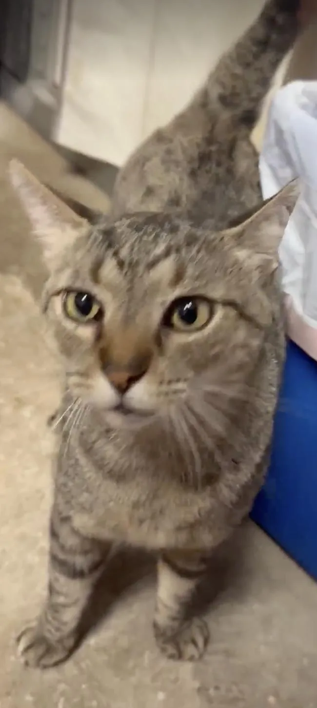 Sparkles thumbnail 3