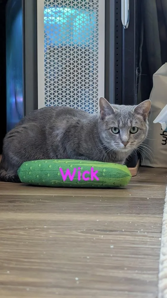 Wick thumbnail 2