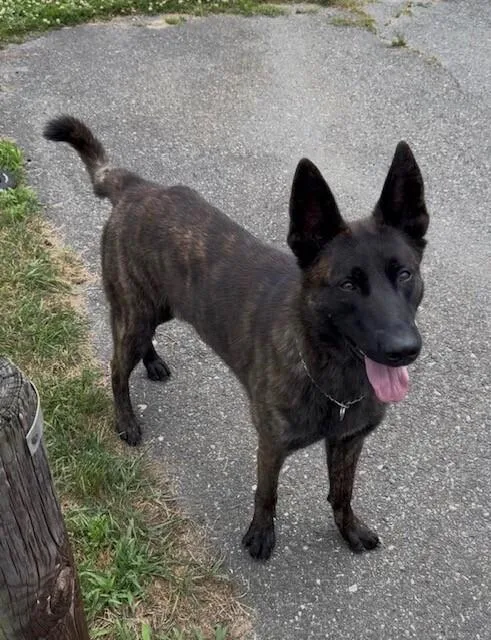 Striker Located in Connecticut
