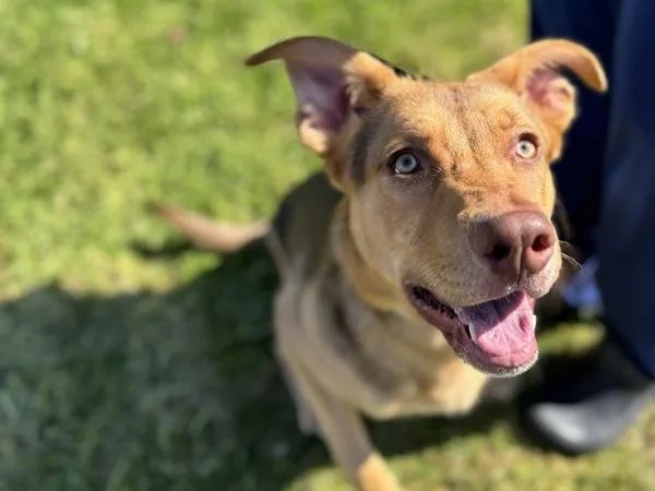 Scrabble thumbnail 2