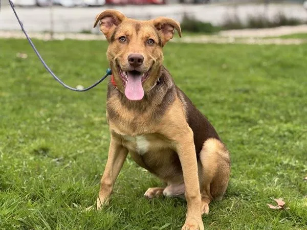 Scrabble thumbnail 3