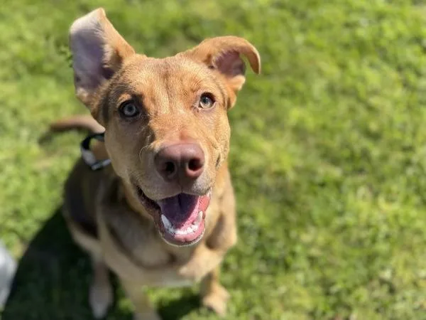 Scrabble thumbnail 5