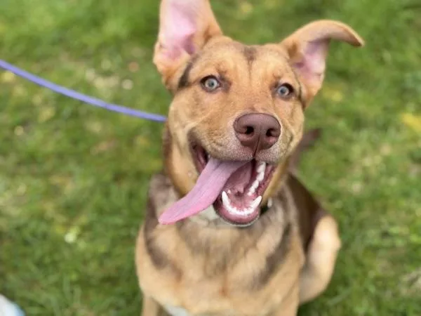 Scrabble thumbnail 6