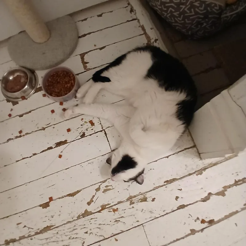 Grape Juice thumbnail 2