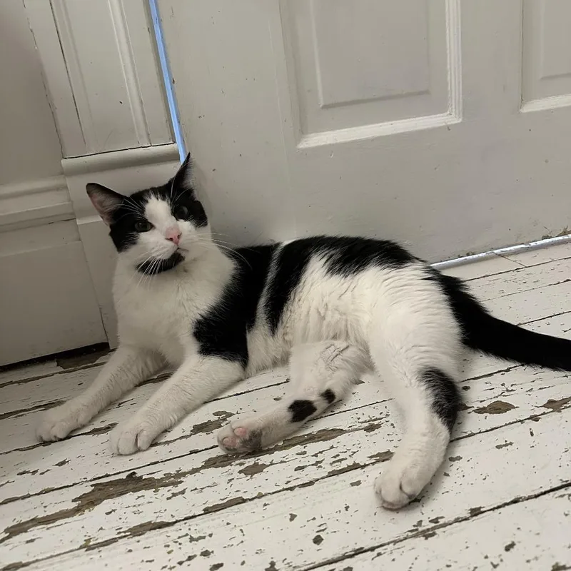 Grape Juice thumbnail 3