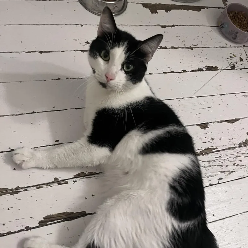 Grape Juice thumbnail 4