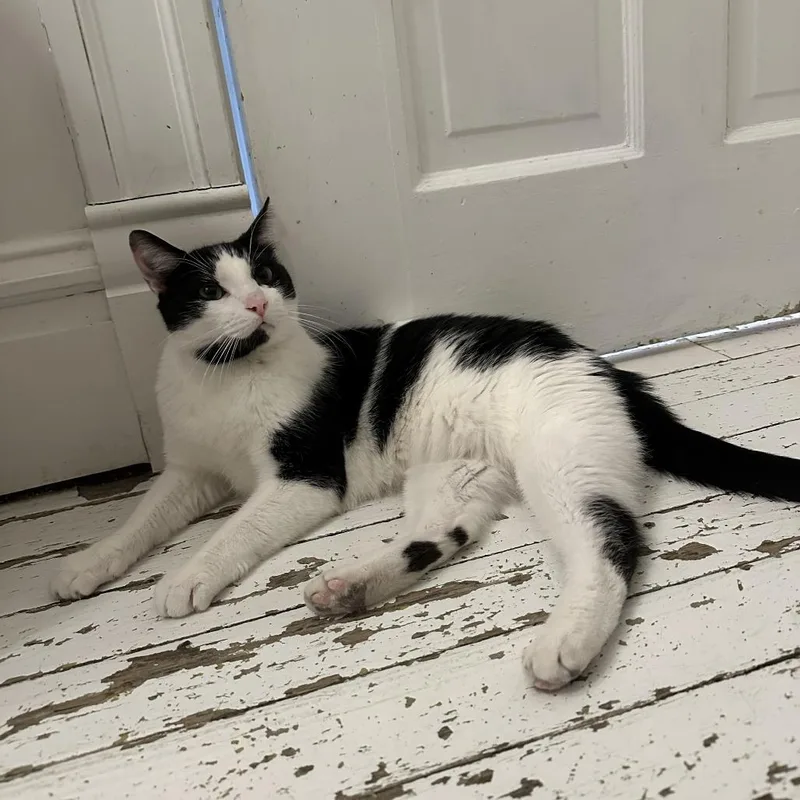 Grape Juice thumbnail 5