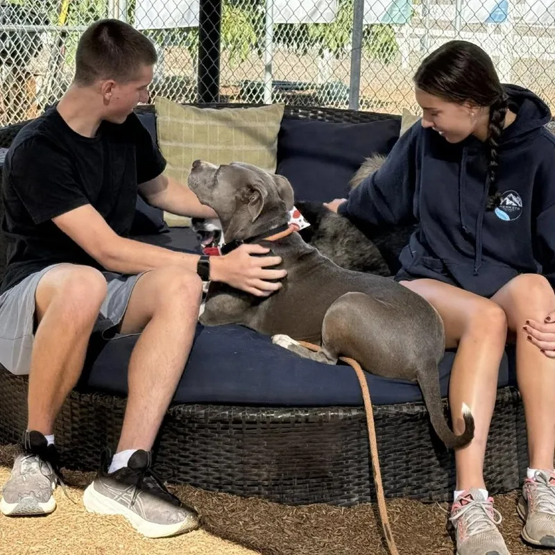 Zoey Honeymoon thumbnail 2