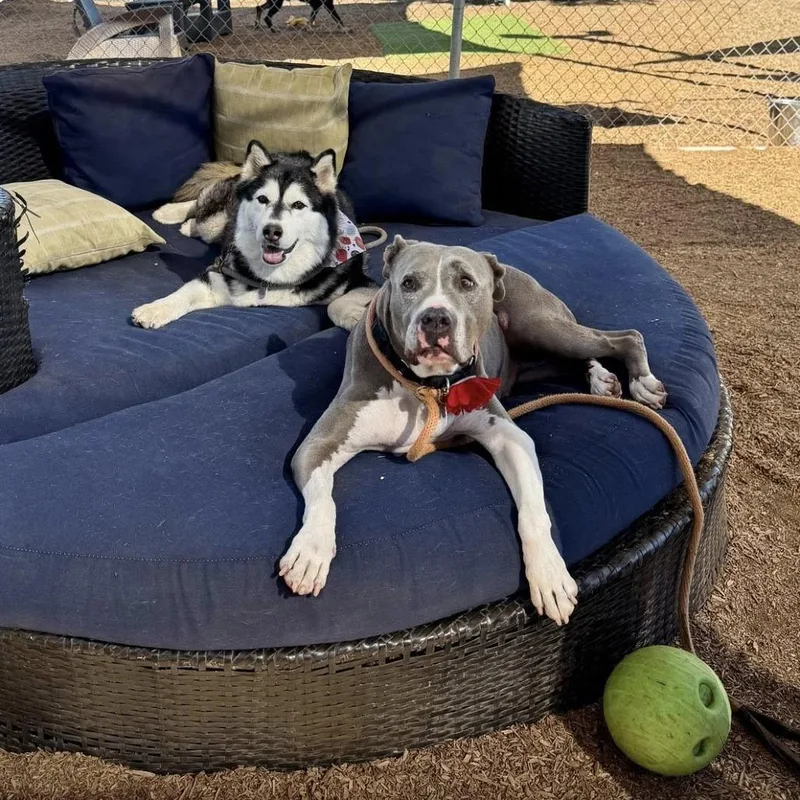 Zoey Honeymoon thumbnail 4