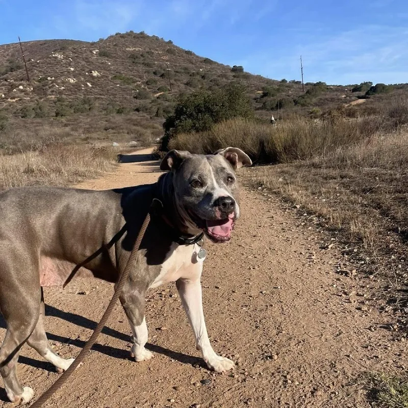 Zoey Honeymoon thumbnail 5