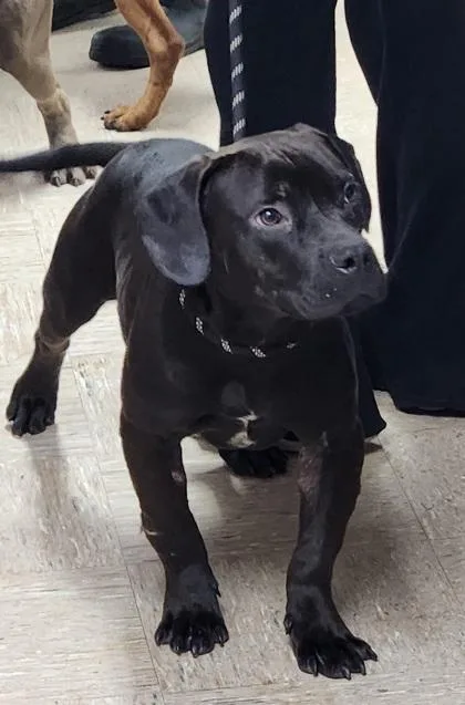 Jimmy Chew thumbnail 2