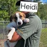 Heidi thumbnail 2