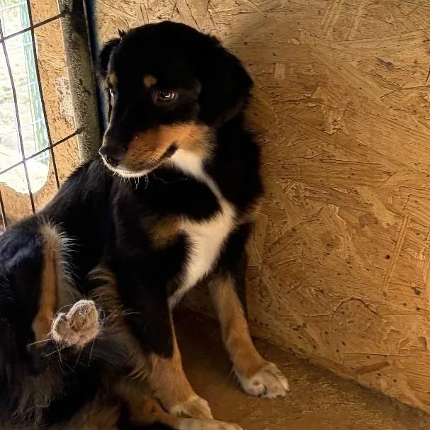 Lola thumbnail 2