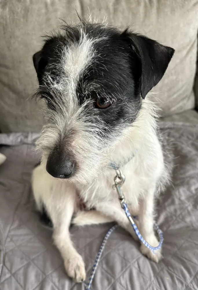 Julia Sheila Bobs Burgers thumbnail 2