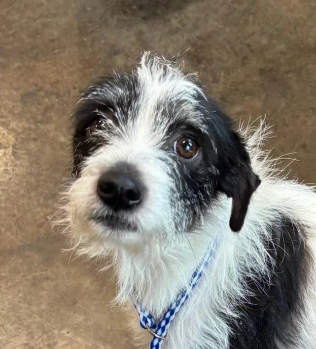 Julia Sheila Bobs Burgers thumbnail 3