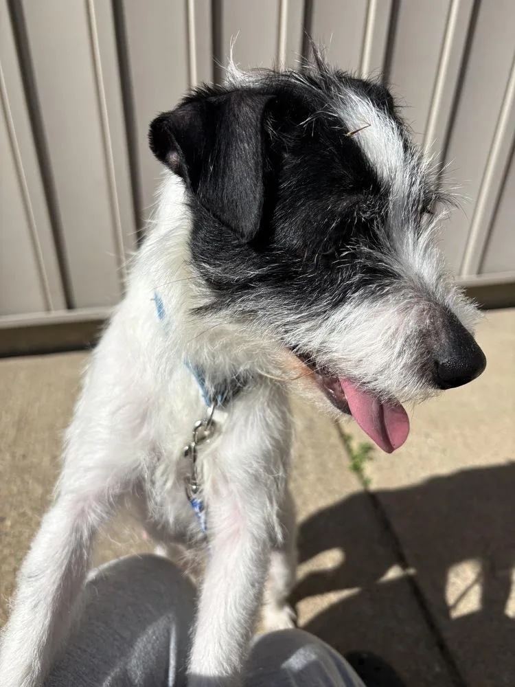 Julia Sheila Bobs Burgers thumbnail 4